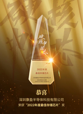 2023年度最佳存儲芯片