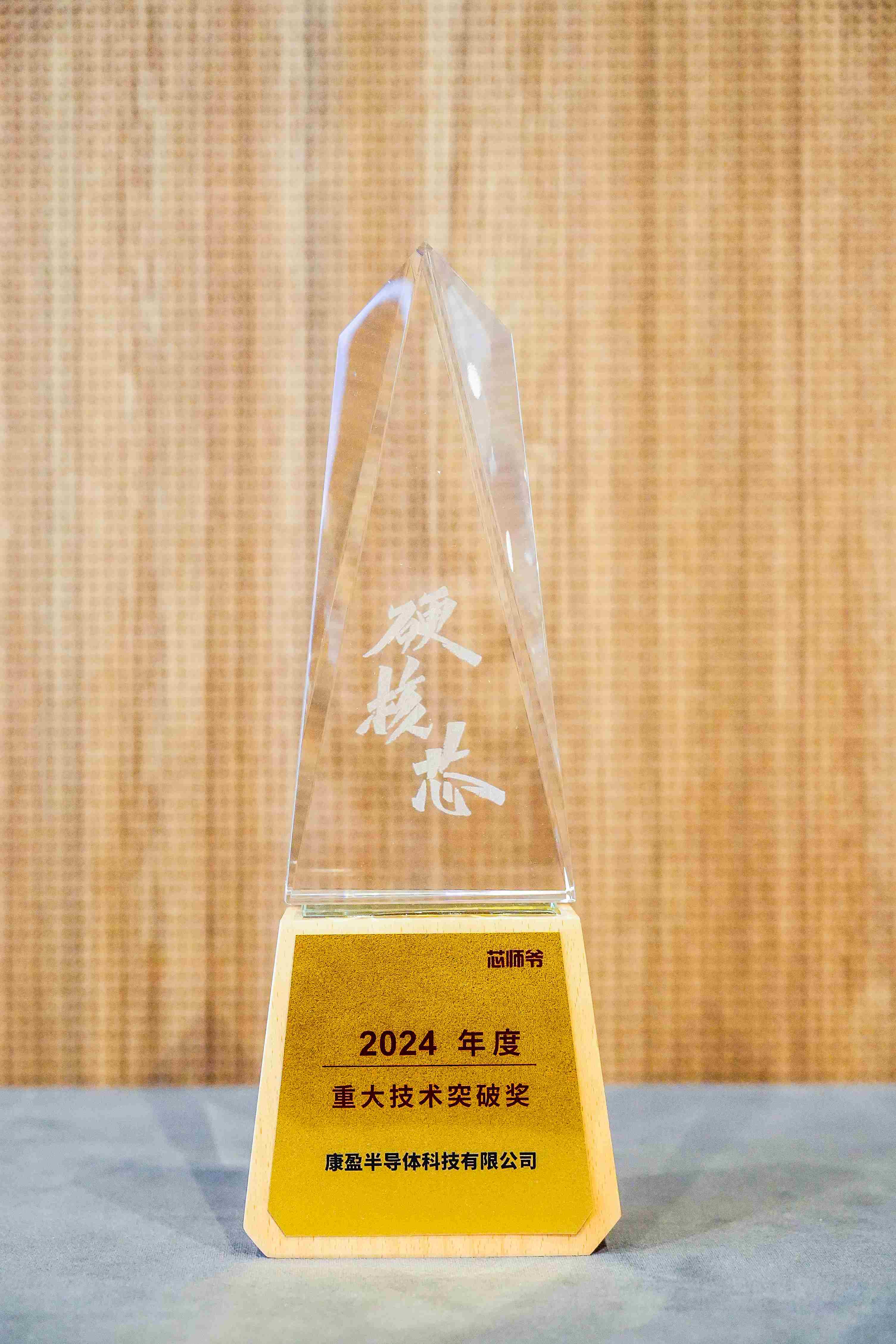 2024年度度重大技術突破獎