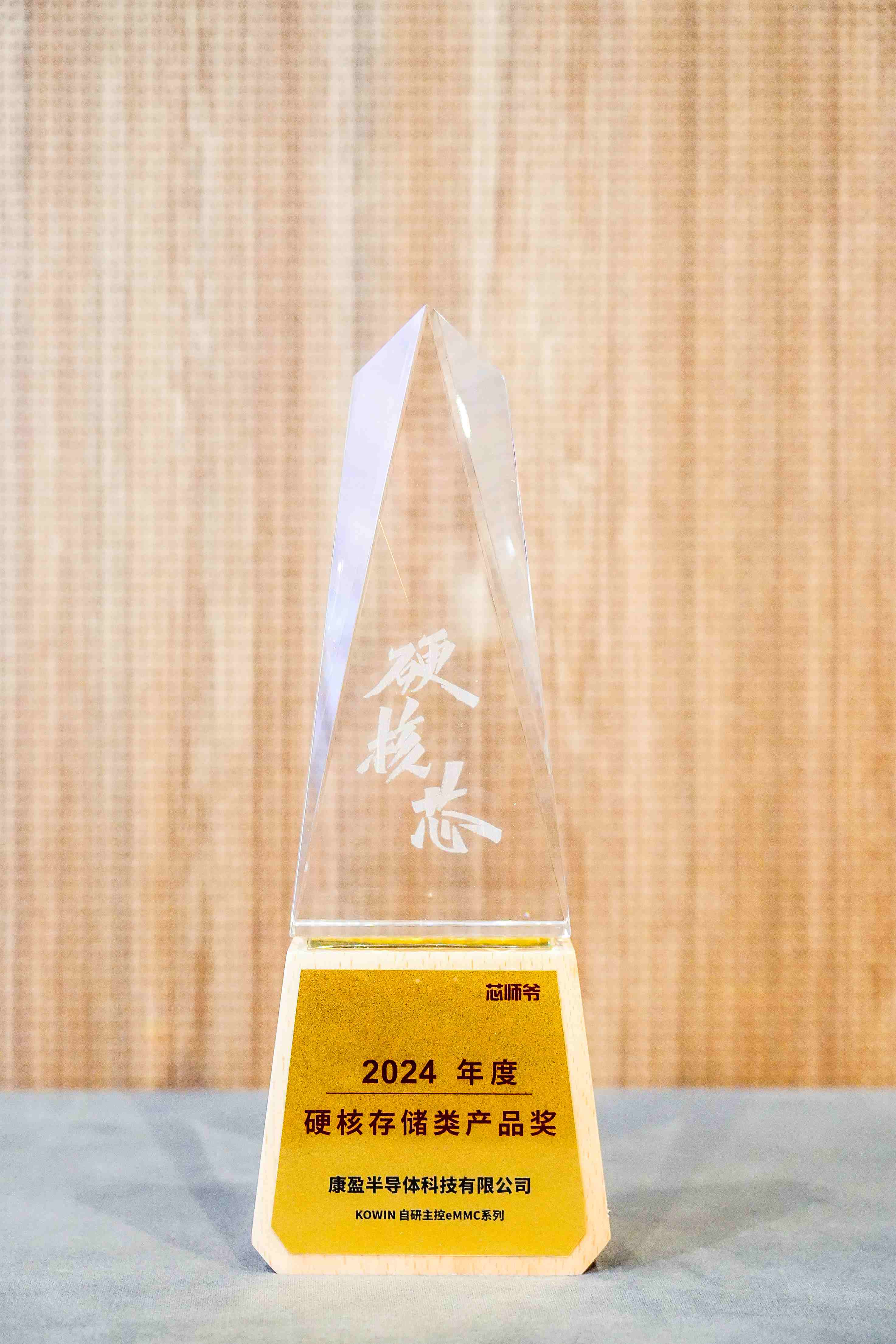 2024年度存儲類產品獎