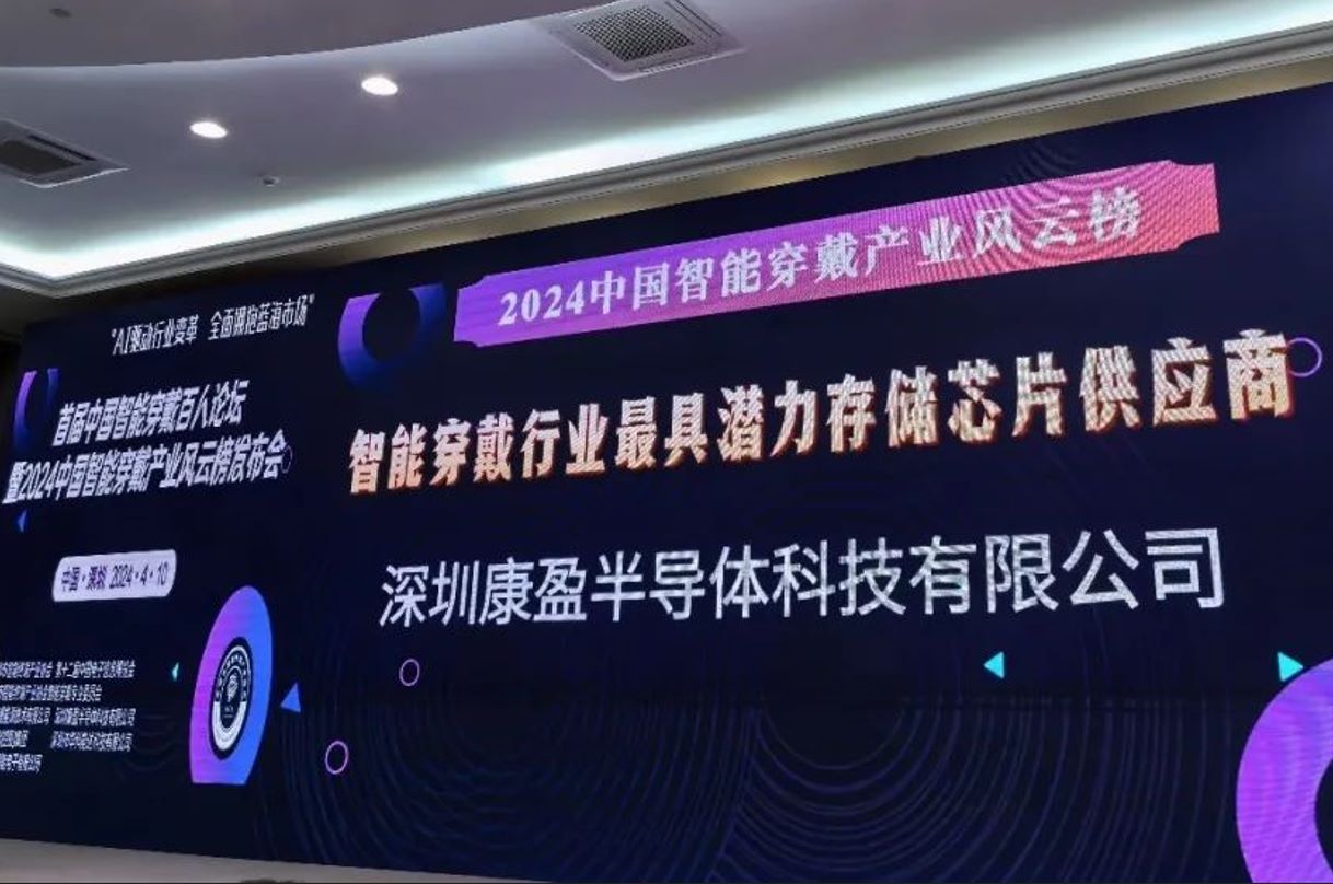 智能穿戴行業最具潛力存儲芯片供應商獎